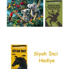 Ravensburger 500P Puzzle Koalalar, Yapboz + Dünyanın Merkezine Yolculuk + Siyah Inci Hediye