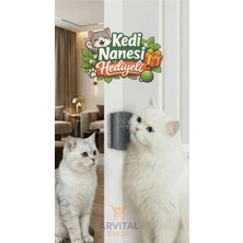 Normadia Duvara Yapışan Kedi Kaşıma Aleti ve Kedi Nanesi Hediyesi