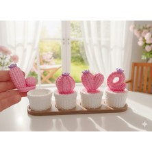 Masa Üstü Kaktüs Biblo