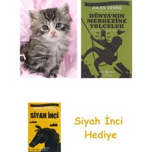 Ravensburger 500P Puzzle Yavru Kedi + Dünyanın Merkezine Yolculuk + Siyah Inci Hediye