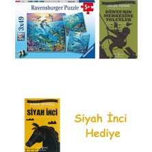 Ravensburger 51496 3X49P Puz Okyanus Hayvanları, Çok Renkli + Dünyanın Merkezine Yolculuk + Siyah Inci Hediye