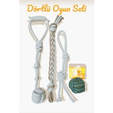 Normadia Dörtlü Hijyenik Oyun Seti, Tut Çek, Diş Kaşıma ve Stres Azaltıcı Oyunlar