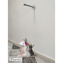 Normadia Vantuzlu Kedi Oltası ile Eğlence ve Hareketli Anlar