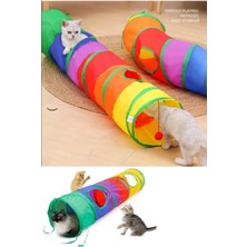 Normadia Renkli Katlanabilir Uzun Kedi ve Köpek Oyun Tüneli, Eğlence Dolu Anlar