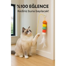 Normadia Renkli Hareketli Kedi Köpek Oyun Oltası Tırtıllı Tırmalama Tahtası