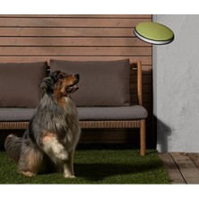 Normadia Yumuşak ve Dayanıklı Köpek Frizbisi, Eğlence Dolu Oyunlar Için Ideal