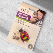 Normadia Hareketli Pilli Köpek ve Kedi Oyuncağı, Eğlence Dolu Zamanlar