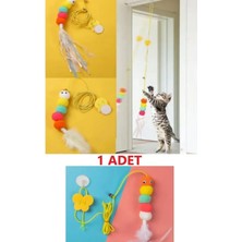 Normadia Renkli Ponponlu Tırtıl Kedi Oyuncağı, Yapışkanlı Oltası, Zıp Zıp Top