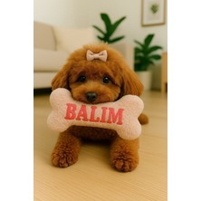 Normadia Yıkanabilir Peluş Kemik Oyuncak, Kişiye Özel, Isme Özel, Wellsoft Kemiği