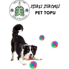 Normadia Karanlıkta Parlayan Işıklı Köpek ve Kedi Topu, Eğlence Dolu Evcil Oyuncak