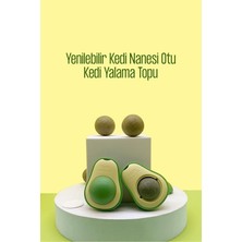 Normadia Yenilebilir Kedi Nanesi Otu ile Eğlenceli Oyun Topu