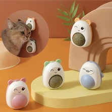 Normadia Ayıcıklı Kedi Oyuncağı Sağlıklı Yalama ve Çiğneme Topu