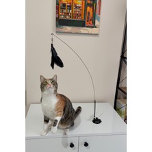 Normadia Yumuşak Tüylü Vantuzlu Kedi Oyuncağı, Eğlence ve Enerji Sağlar