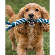Normadia Renkli Köpek Oyun Halatı ve Diş Kaşıma Ipi, Eğlenceli Köpek Oyuncağı