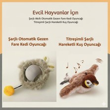 Normadia 2'li Akıllı Kedi Oyuncağı Seti, Titreşimli ve Hareketli Eğlence