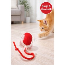 Normadia Şarjlı Hareketli 360° Dönen Renkli Akıllı Oyun Topu Köpek ve Kedi Için
