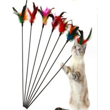 Normadia Renkli ve Eğlenceli Kedi Oyun Çubuğu, Hareketli ve Dayanıklı Tasarım