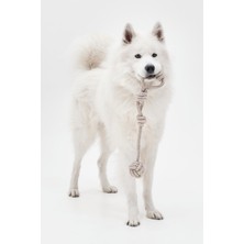 Normadia Renkli Köpek Kemirme ve Çekme Oyuncağı, Halatlı, Isırma ve Diş Temizliği Için