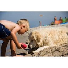 Normadia Large Kauçuk Köpek Oyuncağı, Dayanıklı ve Eğlenceli 10 cm