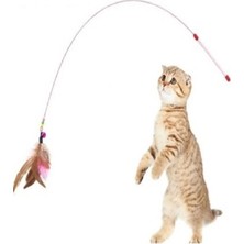 Normadia Eğlenceli Kedi Oyun Oltası ile Aktif ve Mutlu Kediniz Keyifli Anlar Yaşasın