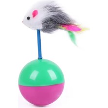 Normadia Renkli Kedi Oyun Topu, Eğlence ve Aktivite Için Mükemmel Seçim