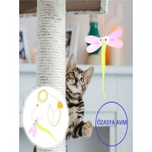 Normadia Kelebek Desenli Elastik Kendinden Yapışkanlı Kedi Oyun Oltası