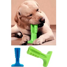 Normadia Köpekler Için Diş Fırçası ve Isırma Oyuncağı – Büyük Boy