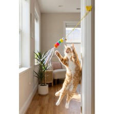 Normadia Renkli Elastik Kendinden Yapışkanlı Kedi Oltası Oyun Seti