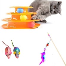 Normadia Renkli 4'lü Kedi Oyun Seti, Eğlence ve Aktivite Için Harika Seçenek