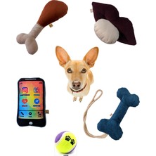 Normadia Renkli 5'li Köpek Oyuncak Seti, Kemik Tasarımlı, Eğlence Dolu Köpekler Için