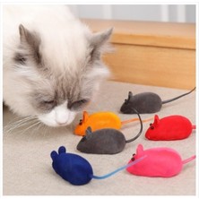 Normadia Renkli Çok Fonksiyonlu Kedi Oyuncağı, Sesli Eğlence ve Oyun Keyfi