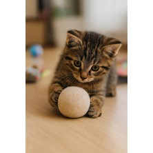 Normadia Yün Yumağı Kedi Oyuncağı, Hareket ve Gelişimi Destekler