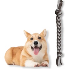 Normadia Renkli Köpek Kemirme Oyuncağı, Eğlenceli ve Dayanıklı Diş Ipi