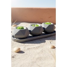 3’lü Taş Saksı Kaktüs Mum