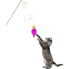 Normadia Renkli Kısa Saplı Kedi Oyun Oltası, Eğlenceli ve Dayanıklı Tasarım