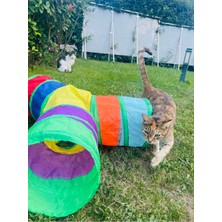Normadia Renkli 3 Yönlü Katlanabilir Kedi Oyun Tüneli, Eğlenceli ve Rahat Aktivite