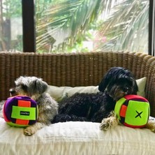 Normadia Eğlenceli Zeka Küpü Köpek Oyuncağı, Orta Boy, Aktif ve Eğlenceli Oyun