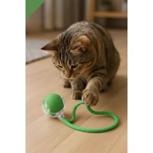 Normadia Eğlenceli ve Interaktif Akıllı Kedi Oyuncağı, Hareketli ve Renkli Tasarım