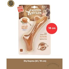 Normadia Doğal Ağaç Köpek Diş Kaşıma Oyuncağı, Orta Boy 18 cm