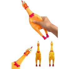 Normadia Sesli Horoz Oyuncağı, Tavuk ve Civciv ile Köpek ve Kedi Için Eğlenceli