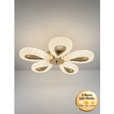 Litra Lighting Damla Model 5"li Gold 3 Renk Modu Ledli Modern Tavana Sıfır Salon Mutfak Çocuk Yatak Odası LED Avize
