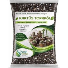10 Litre Premium Kaktüs Toprağı - Böcek Sinek Yapmayan Premium Toprak