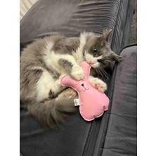 Normadia Doğa Dostu Kedi ve Küçük Köpek Naneli Oyuncak, Eğlence ve Rahatlık Sağlar