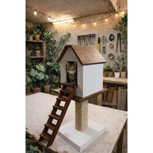 Kedi Kulübesi Kedi Evi