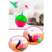 Normadia Renkli Kedi Oyun Topu, Eğlence ve Hareket Için Perfect Seçenek