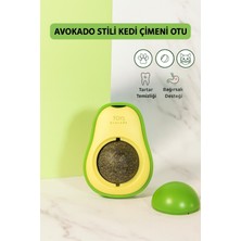 Normadia Doğal Kedi Oyuncağı Avokado Nanesi, Eğlenceli ve Güvenli Tasarım