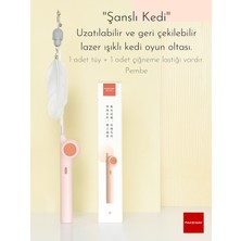 Normadia Uzatılabilir ve Geri Çekilebilir Lazer Işıklı Kedi Oyun Oltası, Pembe Renk