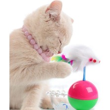 Normadia Renkli Hareketli Kedi Topu ve Oyun Tüneli Seti, Eğlence Dolu Anlar