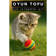 Normadia Renkli Kedi ve Köpek Oyun Topu Seti, Eğlence ve Aktiflik Için Ideal