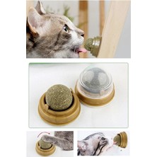 Normadia Yenilebilir Kedi Nanesi Otu ile Eğlenceli Oyun Topu